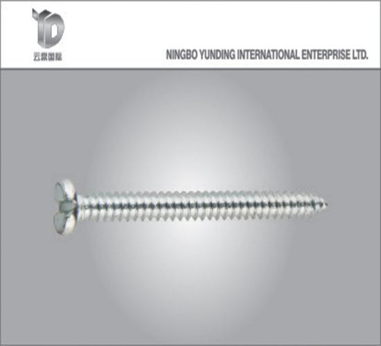 2021 Special Slotted Pan Head Self-Tapping Screw High Quality