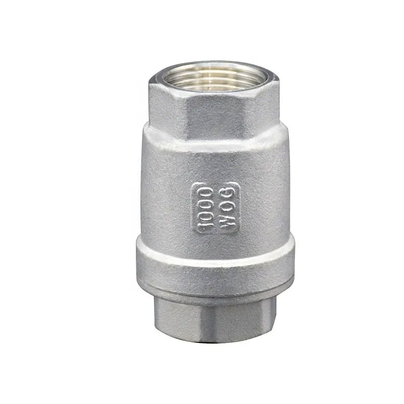 Can a Stainless Steel Spring Lift Threaded Check Valve Be Installed Horizontally Without Affecting Performance