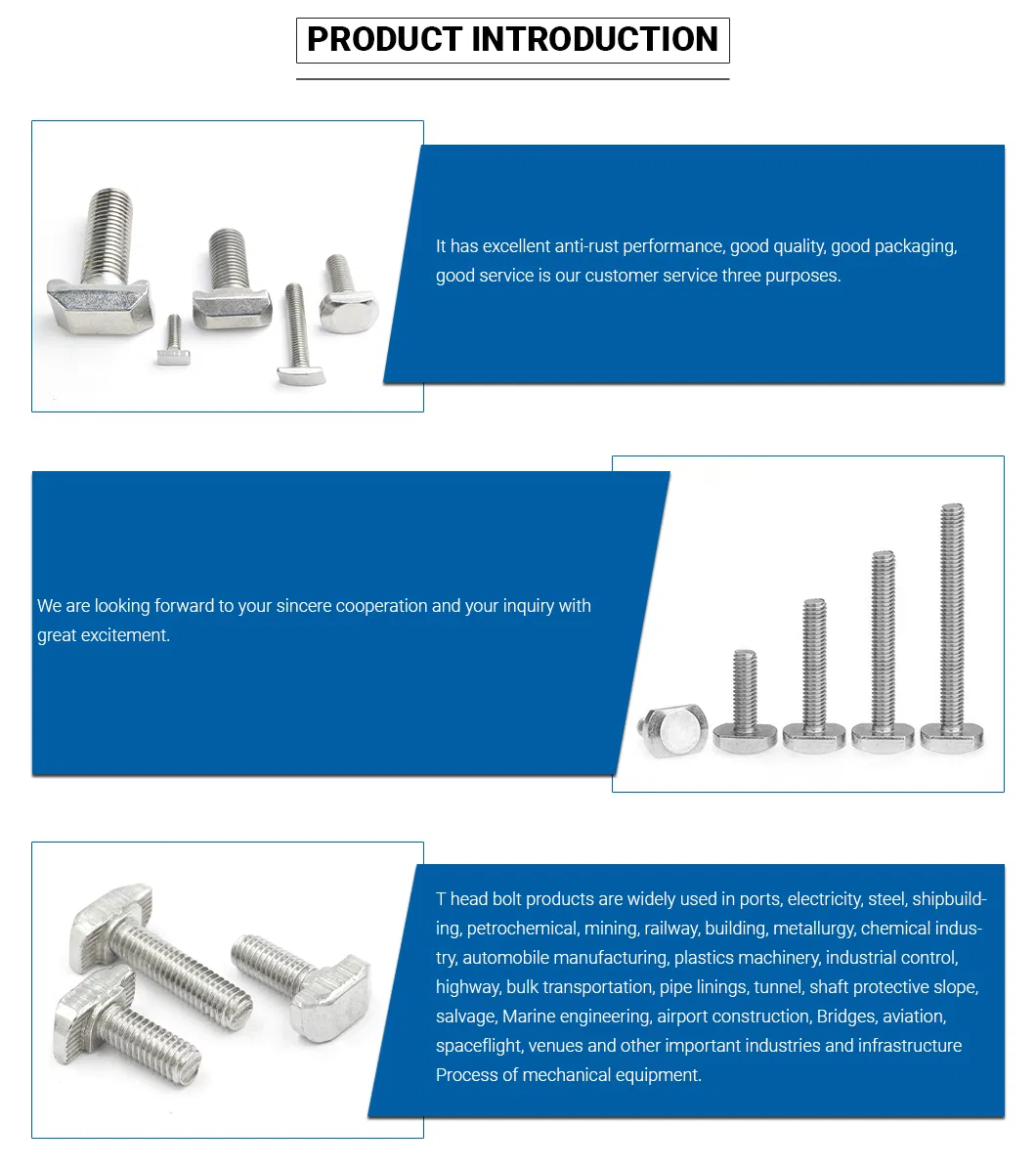 A2-70 or A4-70 Stainless Steel 304 or SS316 T Hammer Head Bolt