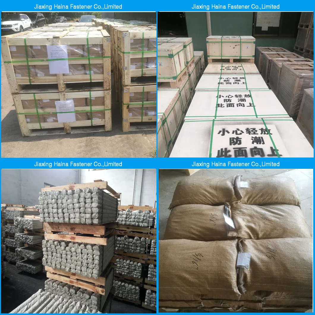 A2 A4 Stainless Steel SS304 SS316 Hex Hexagon Head Self Tapping Coach Lag Wood Screw (DIN571)
