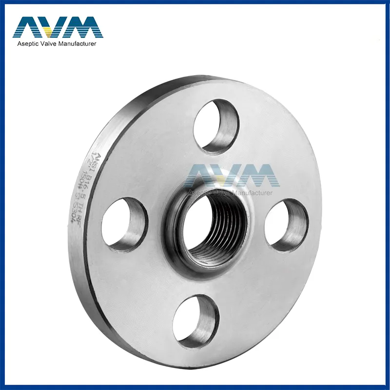 ANSI 304/F61/F53/F55/2205/2507 /2520/317L /304L, /316, /316L Stainless Steel Forged RF Welded Neck Flange