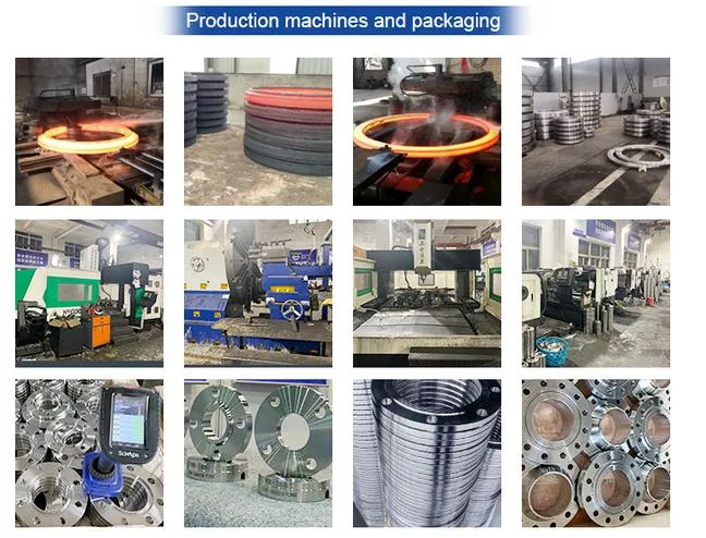 ANSI B16.5 Carbon Stainless Steel ASTM A182 F11 Alloy Steel Pipe Fitting Slip on Flange Weld Neck Flange Blind Flange