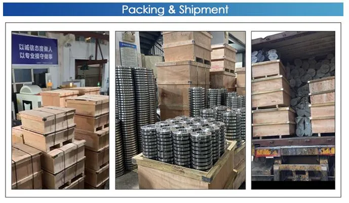 ANSI B16.5 Carbon Stainless Steel ASTM A182 F11 Alloy Steel Pipe Fitting Slip on Flange Weld Neck Flange Blind Flange