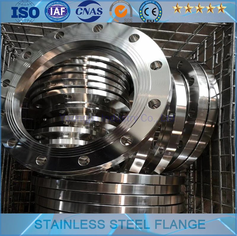ANSI B16.5 Wn So Bl Th Lj Sw Stainless Steel Flange