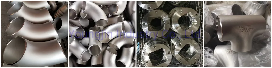 ANSI B16.5 Wn So Bl Th Lj Sw Stainless Steel Flange