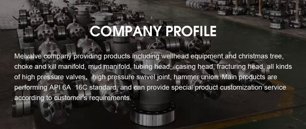 API Fmc/Spm Fig1502 Hammer Union