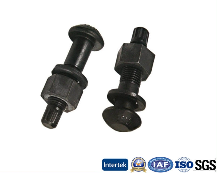 ASTM A325 Tension Control Structural Bolts Manufacture (1 1/8- 7X2 L)