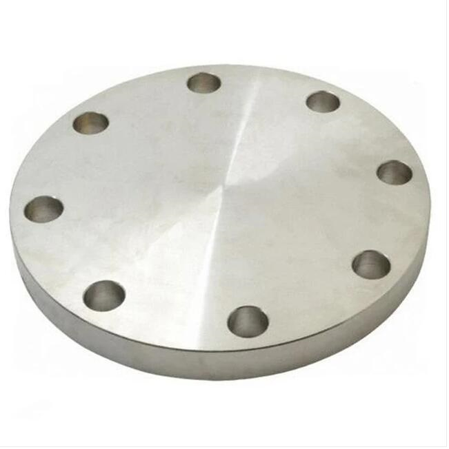 ASTM B381 Titanium and Titanium Alloy Forging Flange Pipe Flange