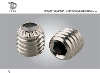 China Good Quality Hex Socket Set Screws, Hot Sale in 2021