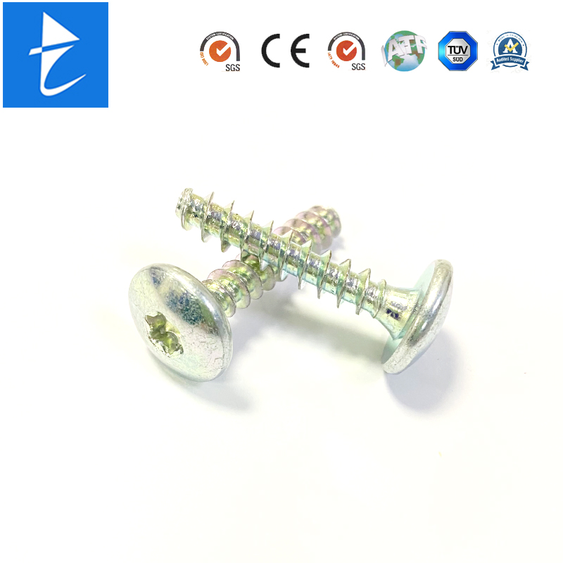 Custom Mushroom Head Torx Head Steel Color Zinc Plated Self Tapping Anti-Theft Screw
