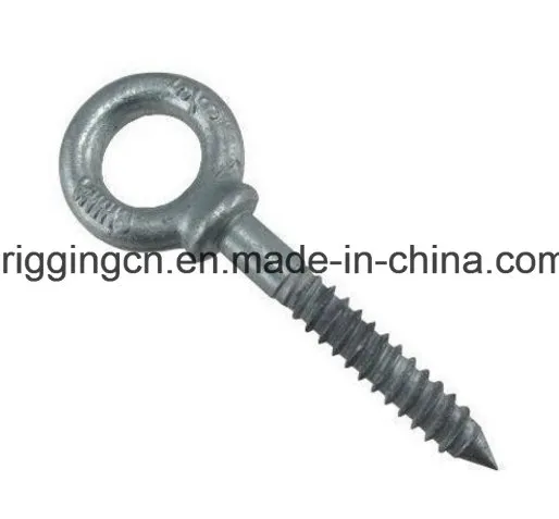 Customed Eye Bolt with Hole Head