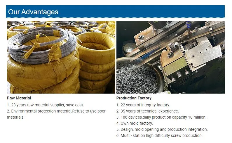 Customized Ta1 Titanium Flat Countersunk Head Phillips Shoulder Machine Screws