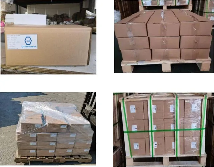 DIN316 /DIN318 Wing Screw Stainless Steel 316/Wing Bolt