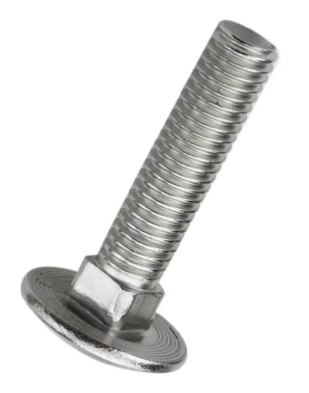 DIN603 Ss Carriage/Coach Bolt