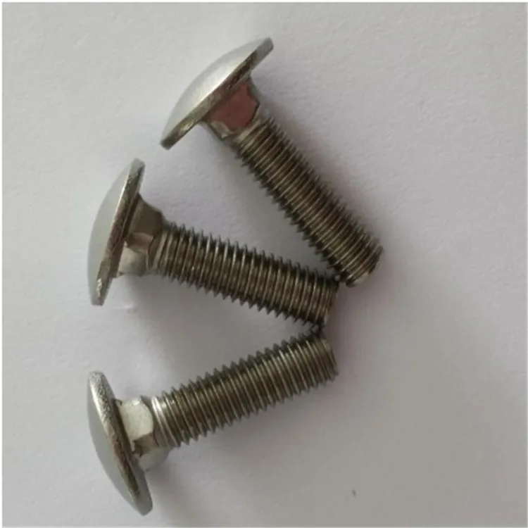 DIN603 Ss Carriage/Coach Bolt
