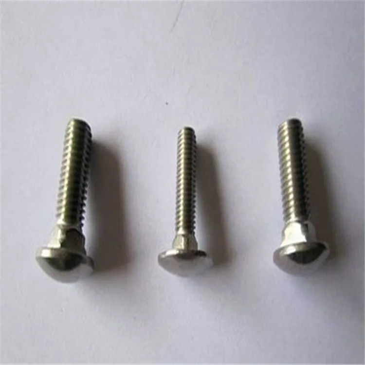 DIN603 Ss Carriage/Coach Bolt