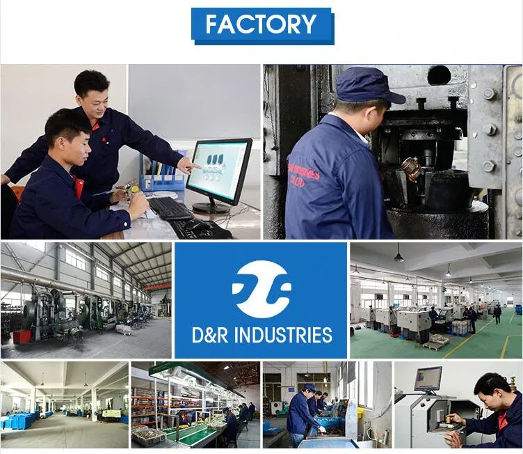 Dr 7002 Brass Quick Coupling Brass Pump Fitting