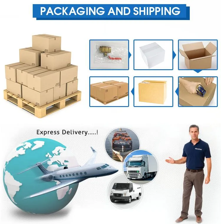 Dr 7002 Brass Quick Coupling Brass Pump Fitting