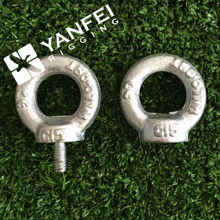 Drop Forged DIN582 Eye Nut