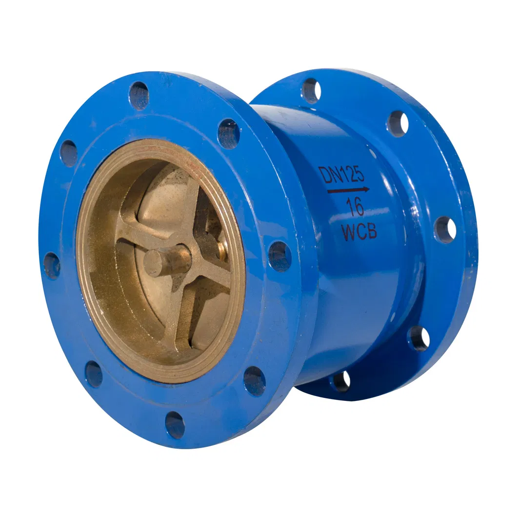 En1092 ASME B16.5 BS4504 As2129 DIN2501 DIN2673 Carbon Steel Plate Flange