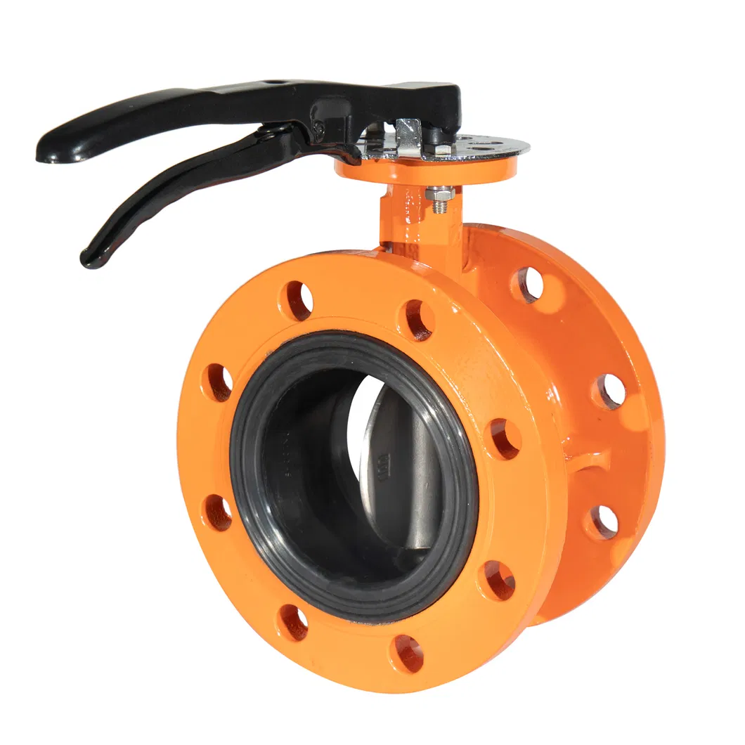 En1092 ASME B16.5 BS4504 As2129 DIN2501 DIN2673 Carbon Steel Plate Flange