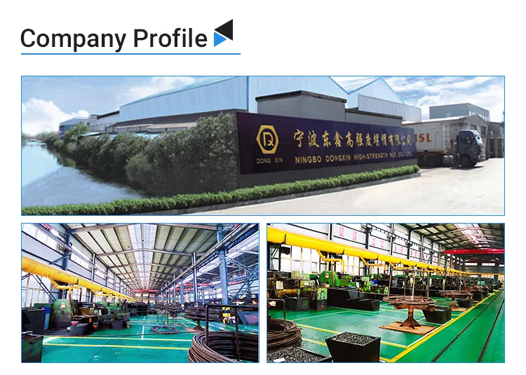 Fastener Factory All Kinds of High Quality Flange Bolt