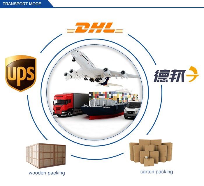 Female Bsp 60deg Cone Swivel Straight Hose Adapter