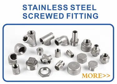 Flange BS4504 Pn16 Plate RF Stainless Steel 304 316