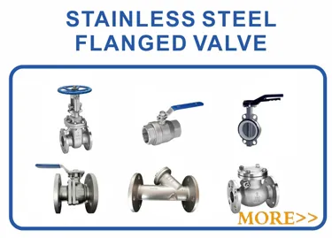 Flange BS4504 Pn16 Plate RF Stainless Steel 304 316