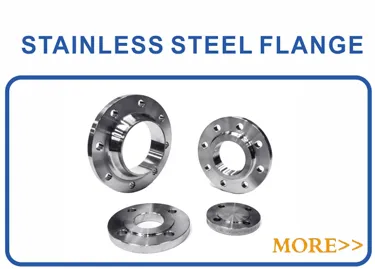 Flange BS4504 Pn16 Plate RF Stainless Steel 304 316