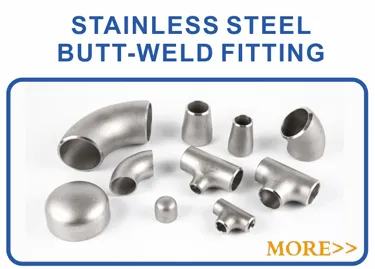 Flange En1092 Type01 Pl RF/FF Stainless Steel Forged