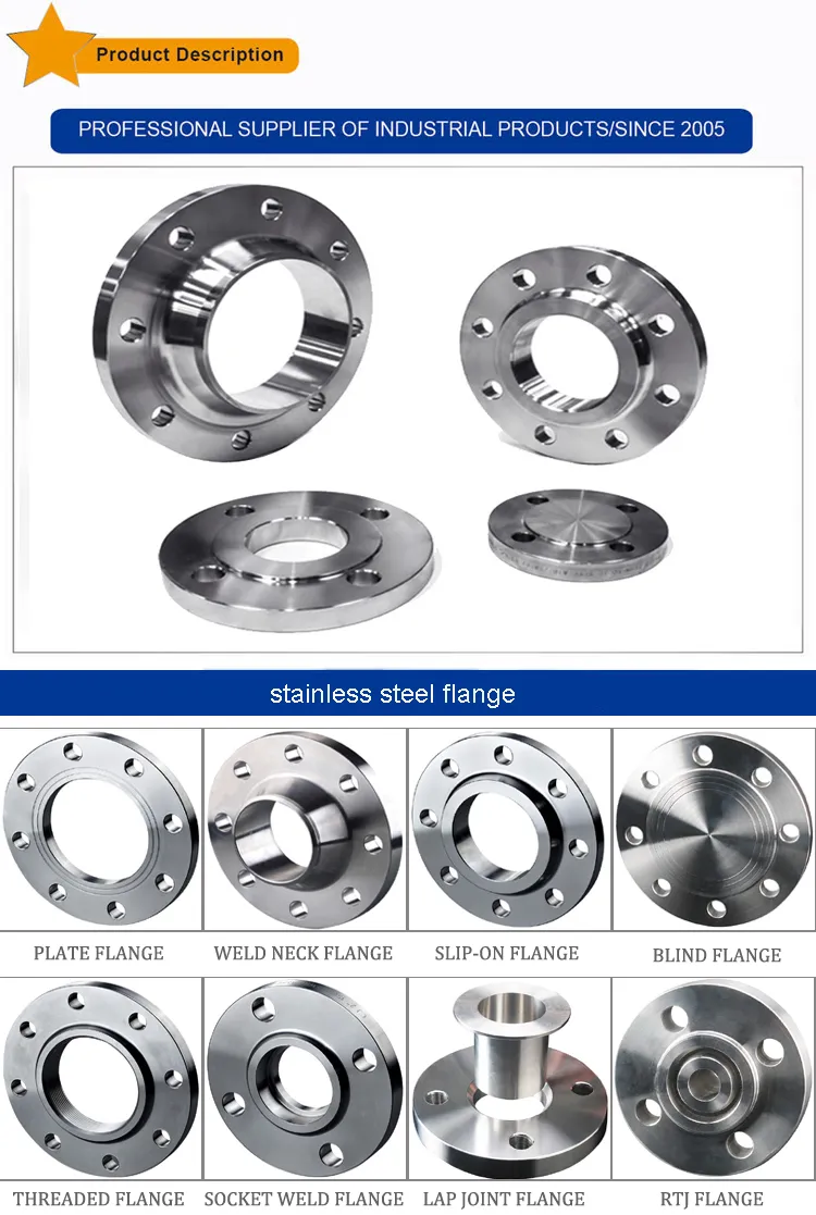 Flange En1092 Type01 Pl RF/FF Stainless Steel Forged