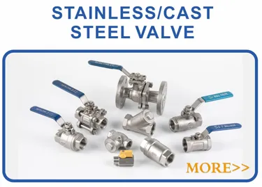 Flange En1092 Type01 Pl RF/FF Stainless Steel Forged