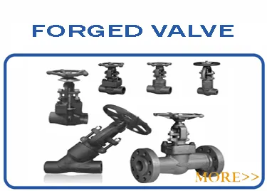 Flange En1092 Type01 Pl RF/FF Stainless Steel Forged