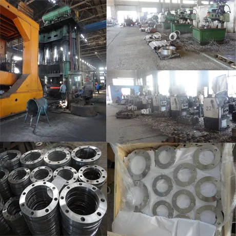 Forged Pipe Fittings Wn/So/Sw/Lj/RF/Rtj/FF/Bl Steel Flange