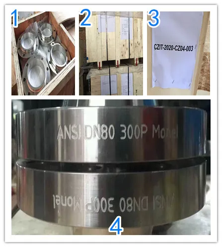 Forged Weld Neck ASTM B381 Gr. 2 Grade 2 PC Titanium Flange