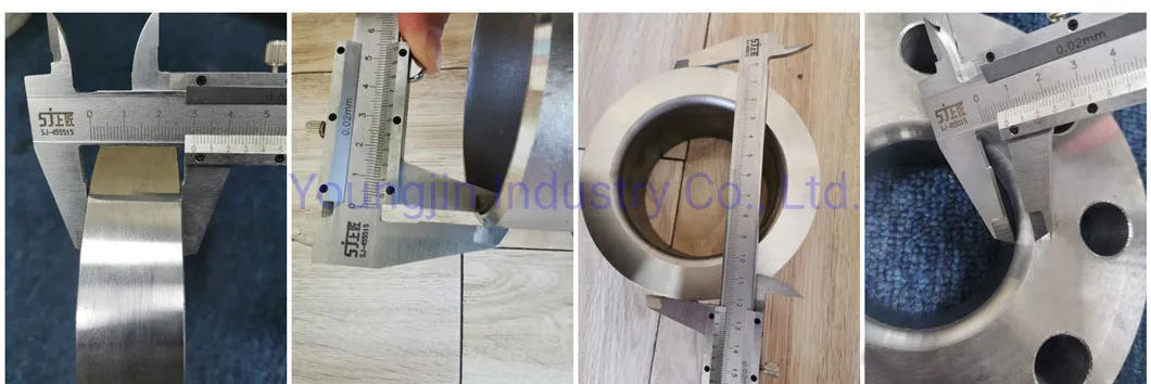Forging Stainless Steel Flange Lj