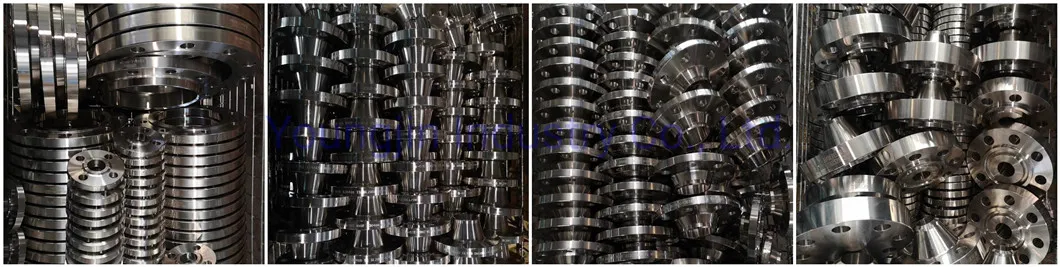 Forging Stainless Steel Flange Lj