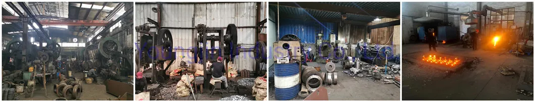 Forging Stainless Steel Flange Lj