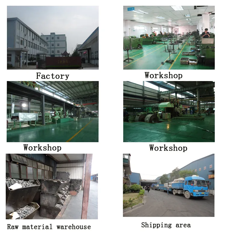 Grade8.8 Grade9.9 Carbon Steel Galvanized Wing Bolt (DIN318)