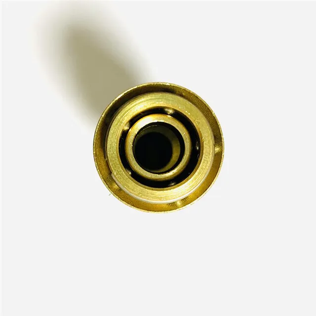 Hasco Z80/9/13/19 Mold Brass Female Thread Quick Coupling