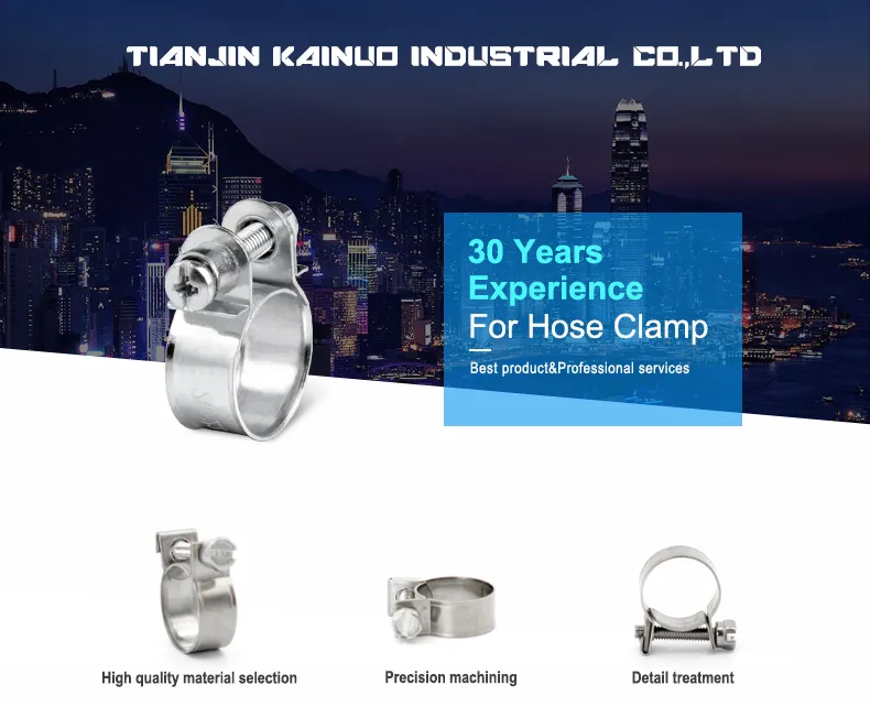 Heavy Duty Bolt and Nut Fuel Stainless Steel Mini Clamp with 9mm Bandwidth, 7-9mm