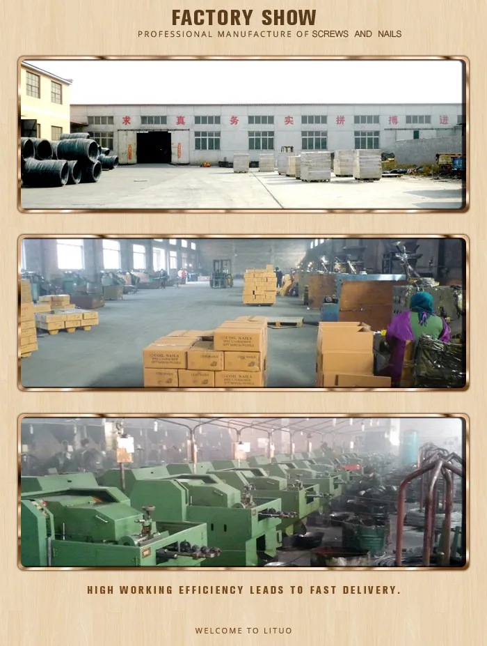 Hi-Lo Plastic Cap Thread Concrete Screw