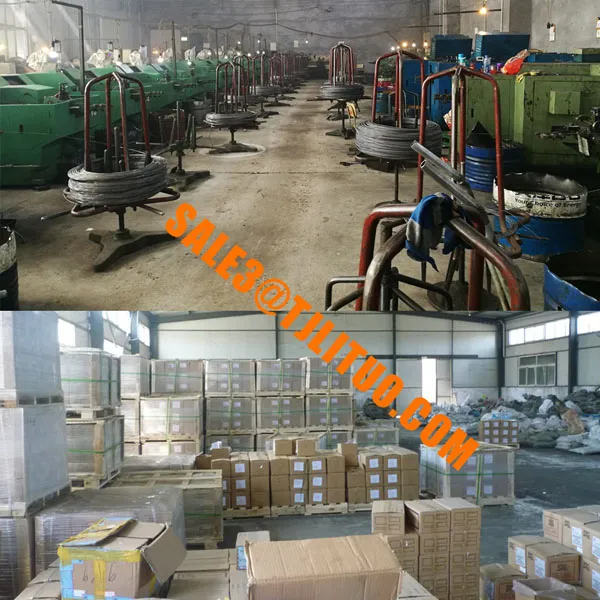 Hi-Lo Thread Concrete Window Screw Concrete Self Tapping Screws