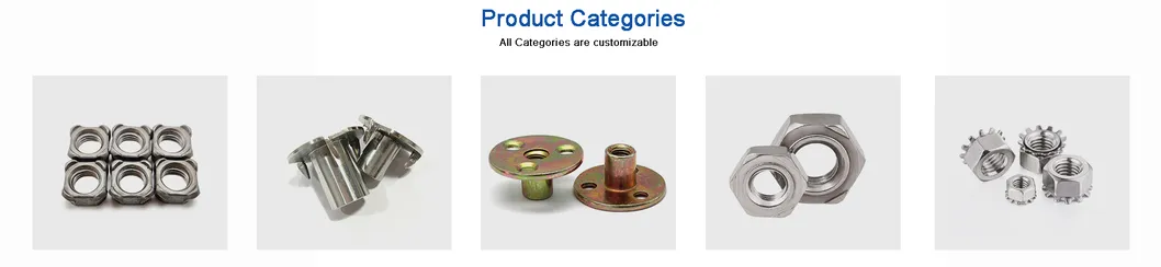High Quality Stainless Steel Carbon Steel Yjt 8965 DIN 1624 Claw Nut T Nut Lock Nut furniture Nut