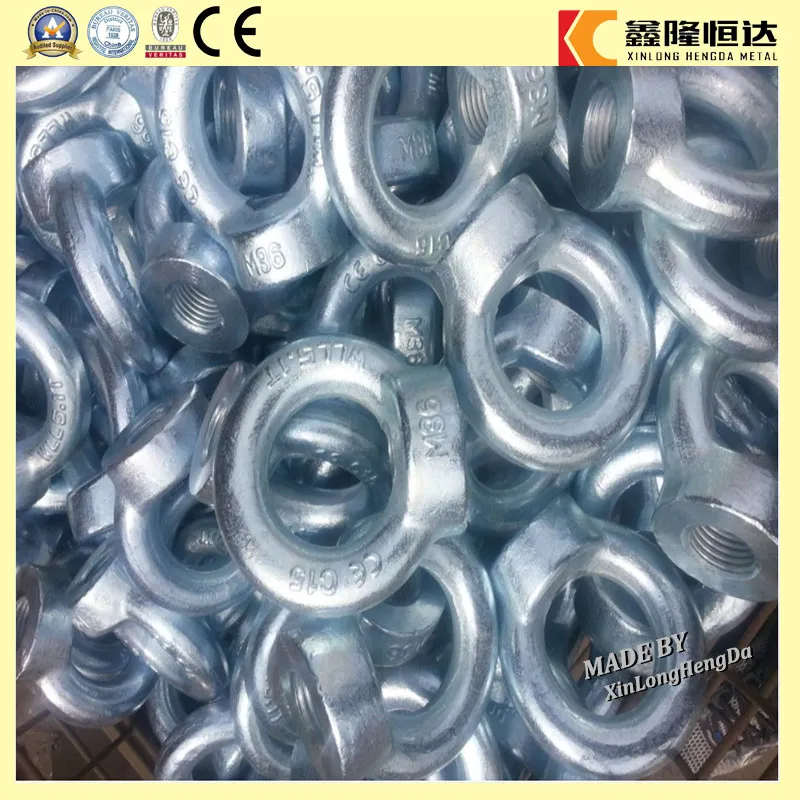 Hot Sale Eye Bolt and 582 Nut Drop Forged