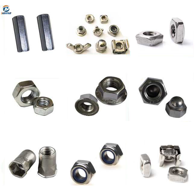M42/M56 Stainless Steel 304/316 Hexagon Head Nut