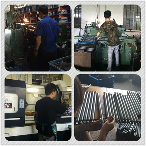 Multi Starts Stainless Steel Trapezoidal Thread Lead Screw