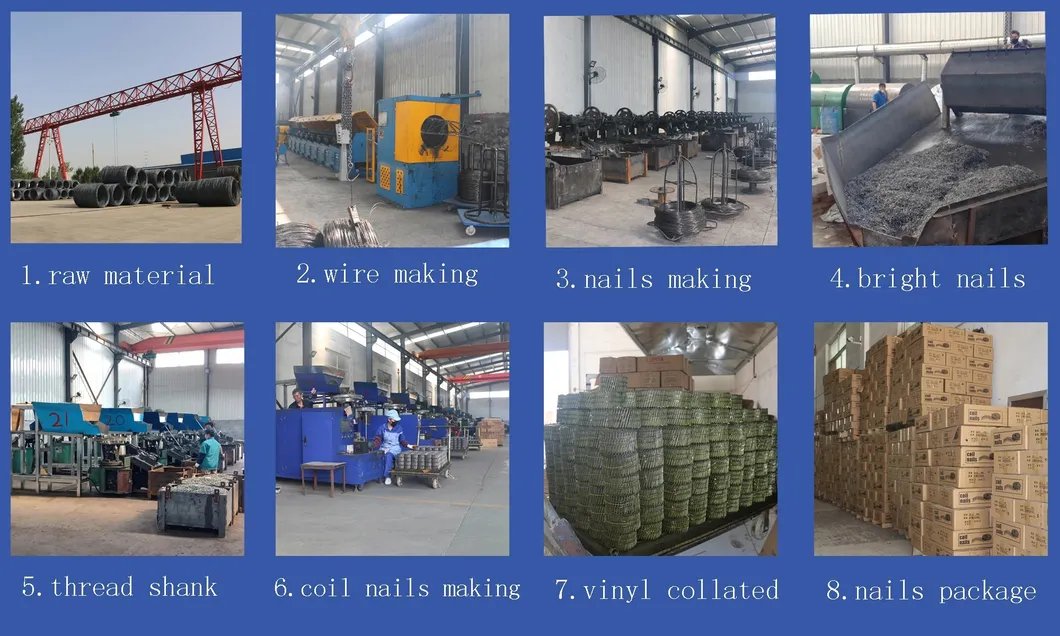 Pallet Screw Coil Nail with Good Price