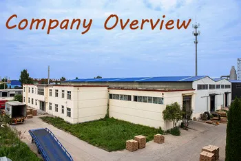 Pallet Screw Coil Nail with Good Price